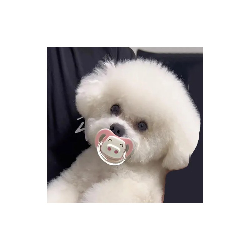 Chupn Mordedera Para Perro Y Mascota Pequea