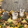 Objectz Three Small Hedgehogs - See Nothing Say - Decoration