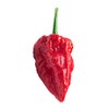 Ghost Peppers - Oven Dried 2 Oz.