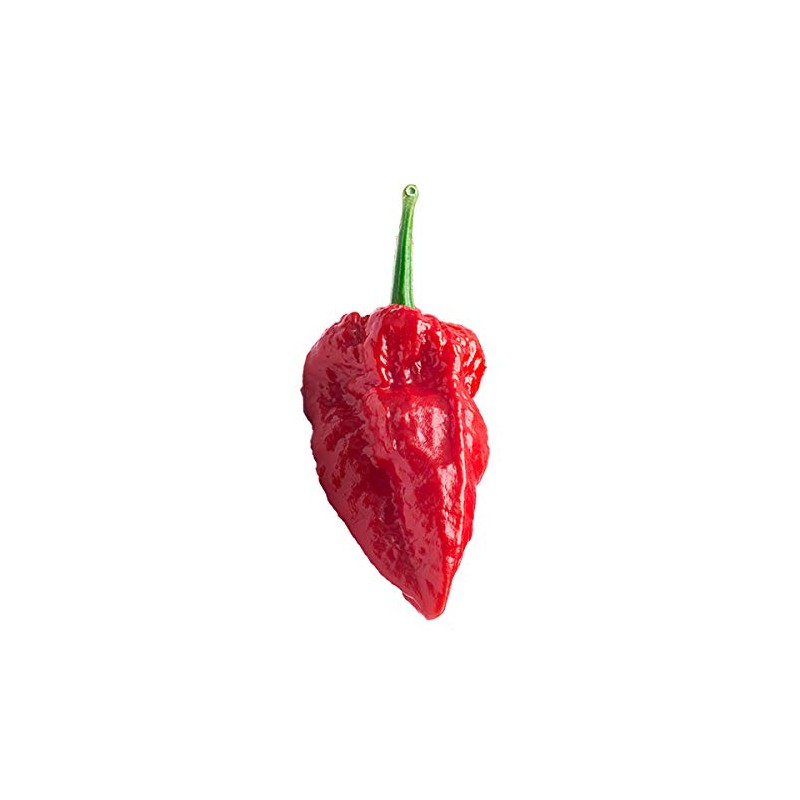 Ghost Peppers - Oven Dried 2 Oz.