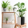 D'vine Dev 10 Inch Ceramic Planter Pot with Drainage Hole