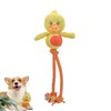 JWTEEE Dog Toy Puppy Toy with Chew Rope, Anti-Stress Duck