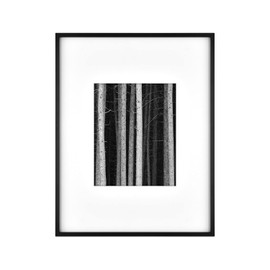MCS Master & Co. Foundry - Marco de Fotos de Metal Mate de 14 x 18 Pulgadas con visualización de Fotos de 8 x 10 Pulgadas, Marco Vertical y Horizontal Negro para Colgar en la Pared para Fotos y Obras
