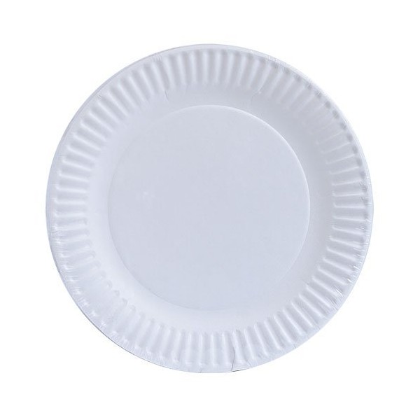 Nicole Home Collection 100 Count Everyday Dinnerware Paper Plate, 9-Inch, White