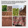 Dried Yam 10.6oz/300g(150g*2) Dried Iron Stick Yam Large Slices of