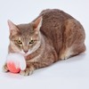 ADD. Mate Happiness Cat Toy Hand Knitting Ball with Feather