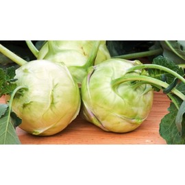 KIRA SEEDS - Seeds Biennial Kohlrabi - Giant Cabbage - Heirloom Vegetable - GMO Free