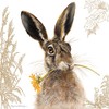 Pollyanna Pickering Countryside Collection Card - Hare & Sunflower
