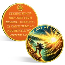 CHURYUML One Day at A Time Sobriety Coin Sober Chip Non-Religious AA Coins Recovery Anniversary Medallions Sobriety Gifts for Women Men Alcoholics Anonymous Addiction Recovery Gift