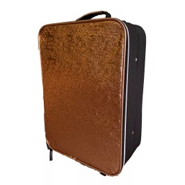 Justice Girls Metallic Gold Carry On Luggage Roller Bag Rolling Suitcase 19 inch