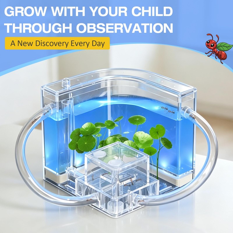 Ant Nest, Ant Habitat Kit