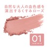 Cezanne Cheek Blush 01 Foggy Rose 2.2g Rose Pink Color