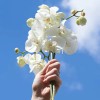 Gel De Ducha Neroli & Orquídea