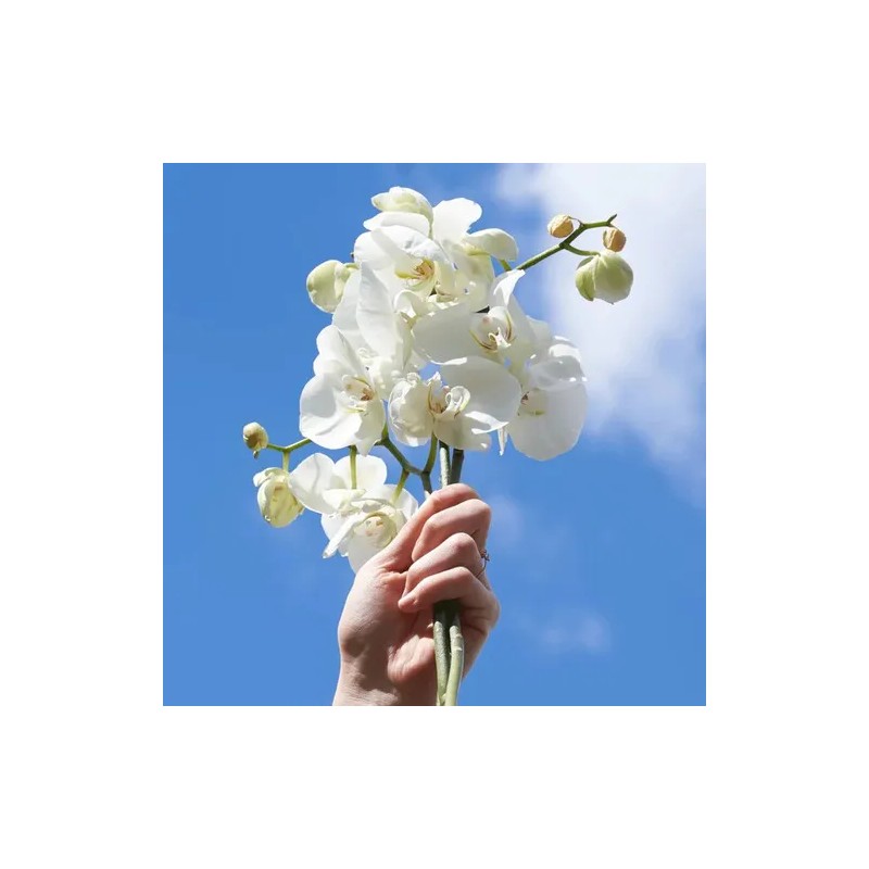 Gel De Ducha Neroli & Orquídea