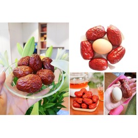 Yeahgoshopping 1 lbs Premium Dried Red Dates (Jujubes) – Naturally Sun-Dried, Sweet, & Chewy | Versatile for Tea, Snacks, Soups - One Pound (Large)