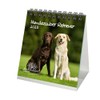 Dog Magic Retriever Calendar for 2025 Format 10 cm x