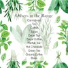 Purely Home Kitchen Herbs Peppermint Tea Storage Canister - White