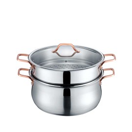 CONCORD Premium Stainless Steel 2 Tier Steamer w/Rose Gold Handles (22 cm)