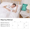 CxLoode 4 Pack Disposable Bed Sheet Queen Size for Hotel,