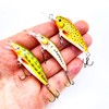EVERBAY Dorado Fishing Lures Set - Artificial Hard Crank Baits-