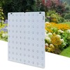 LED Grow Light Red Blue Full Spectrum 81 LEDs Grow