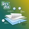 Dry Pet Tapete Entrenador para Perro de 14 Piezas