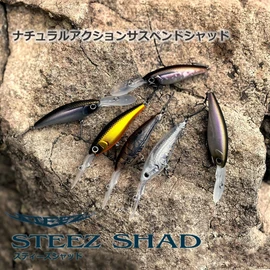 DAIWA STEEZ Shad 60SP SR Natural Ghost Shad Bus Lure