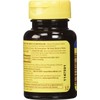 Nature Made Vitamin B-6 100 Mg, Tablets, 100-Count (Pack of