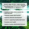 Ascent Nutrition Algae Oil DHA Omega-3's | Vegan and Vegetarian