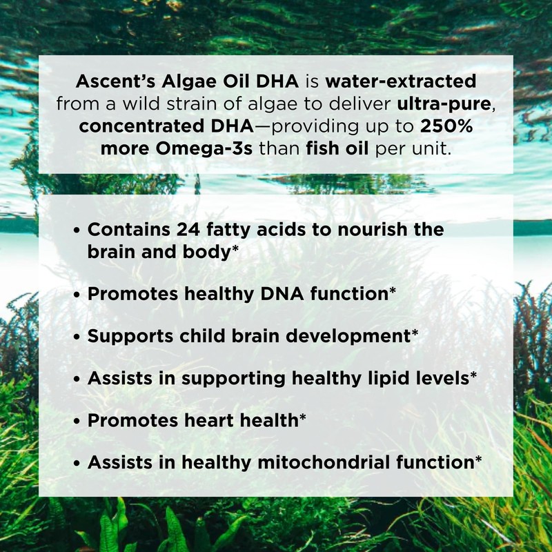 Ascent Nutrition Algae Oil DHA Omega-3's | Vegan and Vegetarian