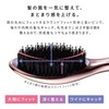 ReFa AILE BRUSH RAY Rose Gold Shampoo Treatment, Trial Set,