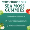 FITactic Sea Moss Gummies 16-in-1 | Irish Seamoss Gummies for