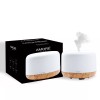 Amore Paris 5 In 1 Premium Ultrasonic Aromatherapy Diffuser