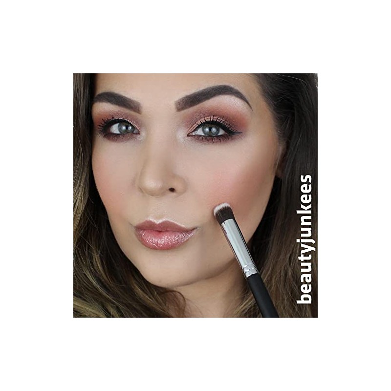 mini Kabuki Makeup Brush Set with Free Case Includes Blending,