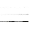 DAIWA Exceler Jiggerspin 1002L, 2 Pieces, 3.05m, 3-18g, Jigger Spinning