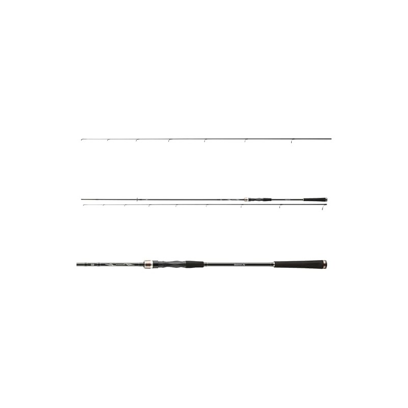 DAIWA Exceler Jiggerspin 1002L, 2 Pieces, 3.05m, 3-18g, Jigger Spinning