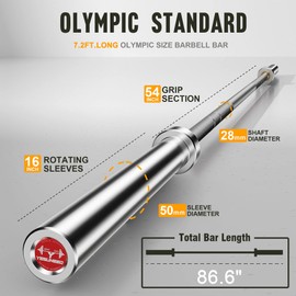 Curl Bar Olympic Barbell EZ Bar 330LB/700LB/1000LB/1500LB for Biceps Curl, Squat, Weightlifting (700LB-Sliver2.0)