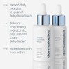 Dermalogica Circular Hydration Serum, Hyaluronic Acid Serum for Face, Deep