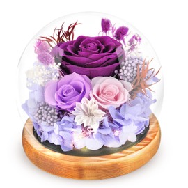 Gifts for Mom Preserved Flowers Rose in Glass Dome Forever Flowers Eternal Roses with Light Long-Lasting Real Flowers Mothers Day Birthday Gifts for Women Mom Grandma, Purple