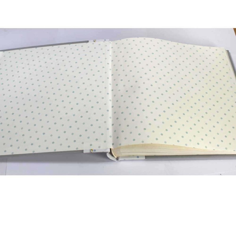101 Dalmations Traditional Photo Album 10.25 Inch Square