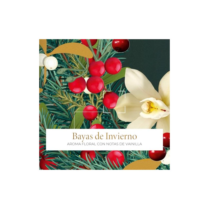 Yves Rocher Duo Crema Manos Bayas Invierno Edición Limitada Aroma
