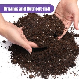 Doter Premium Lavender Potting Mix 1qt, Promotes Lavender Blossoming, Perfect for Indoor and Outdoor Gardening