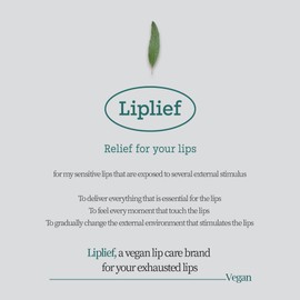 LIPLIEF Holica Korea Vegan Lip Care Gel Soothing Lip Mask Sleeping Mask Hyaluronic Acid Hypoallergenic Instant Skin Care