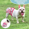 wegreeco Frenchie Dog Diapers Female No Tail Hole,Washable Pet French