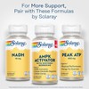 SOLARAY AMPK Activator Plus Dihydroberberine - Clinically Backed Ingredient -