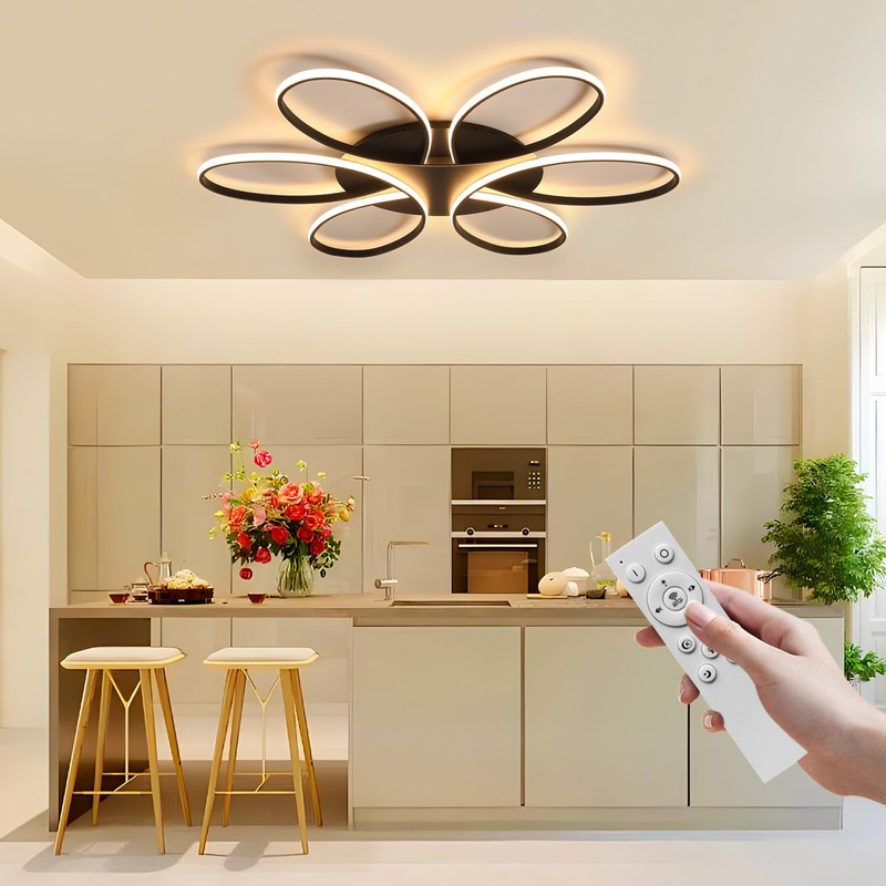 Oliterlux Modern LED Ceiling Light Fixture Black Flush Mount Ceiling
