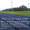 Chiran Tea Kagoshima Prefecture Deep-steamed Tea Sencha Leaf Green Tea