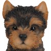 Pet Pals Yorkshire Terrier Puppy Ornament