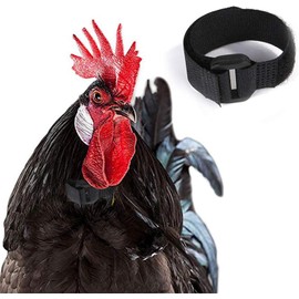 2Pcs Black Anti Crow Rooster Collar, No Crow Noise Neck Belt for Roosters for Chicken, Duck, Goose,Upgraded Black,Length 8.07 inch Collars
