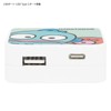 Gourmandise SANG-271HG Sanrio Characters USB/USB Type-C AC Adapter Hangyodong